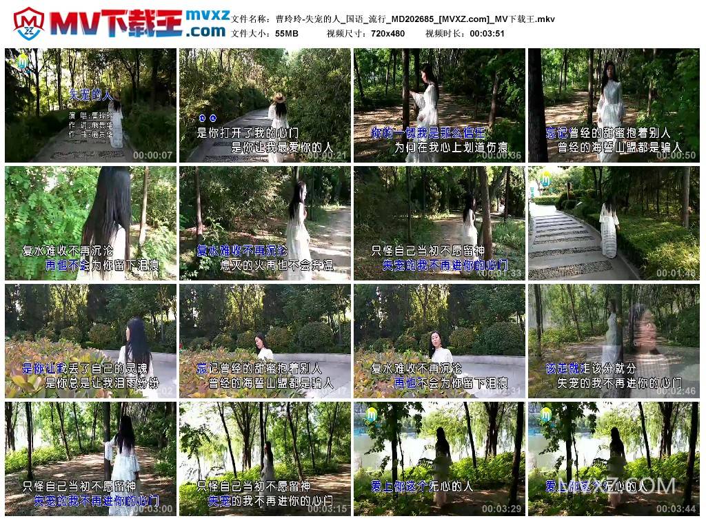 曹玲玲-失宠的人_国语_流行_MD202685